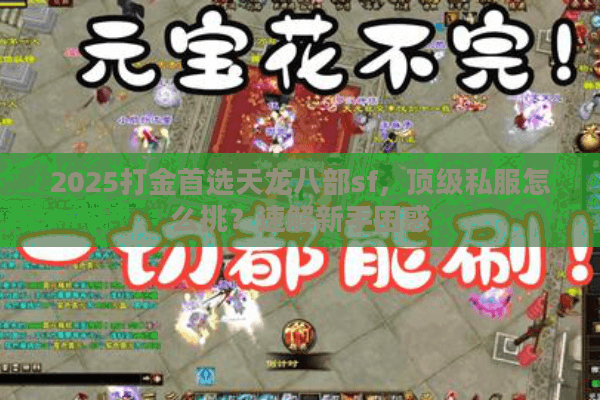 2025打金首选天龙八部sf，顶级私服怎么挑？速解新手困惑