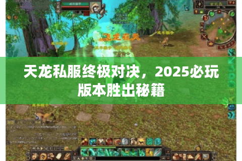 天龙私服终极对决，2025必玩版本胜出秘籍