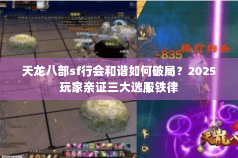 天龙八部sf行会和谐如何破局？2025玩家亲证三大选服铁律