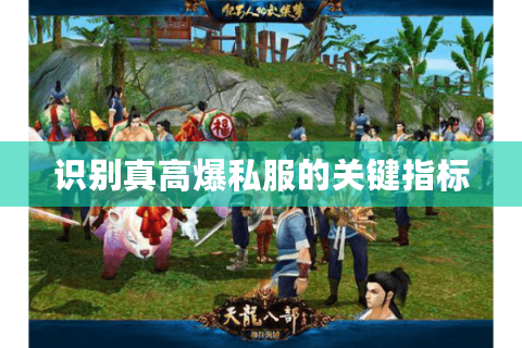 识别真高爆私服的关键指标