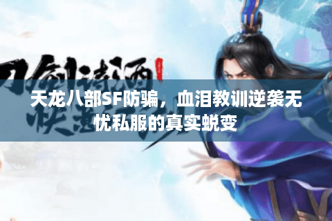 天龙八部SF防骗,血泪教训逆袭无忧私服的真实蜕变 天龙八部SF防骗,血泪教训逆袭无忧私服的真实蜕变