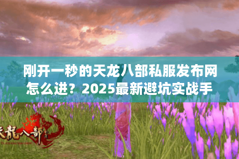 刚开一秒的天龙八部私服发布网怎么进？2025最新避坑实战手册