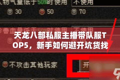 天龙八部私服主播带队服TOP5，新手如何避开坑货找到真神级体验？