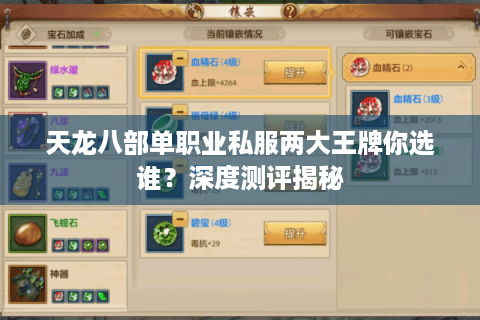 天龙八部单职业私服两大王牌你选谁？深度测评揭秘