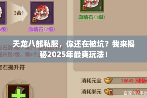 天龙八部私服，你还在被坑？我来揭秘2025年最爽玩法！