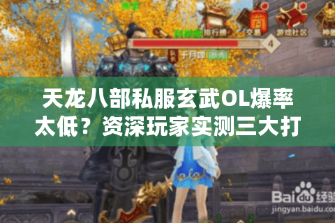 天龙八部私服玄武OL爆率太低？资深玩家实测三大打金副本攻略