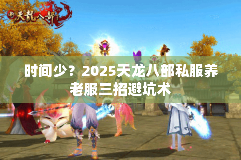 时间少？2025天龙八部私服养老服三招避坑术