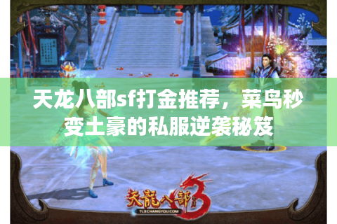 天龙八部sf打金推荐，菜鸟秒变土豪的私服逆袭秘笈