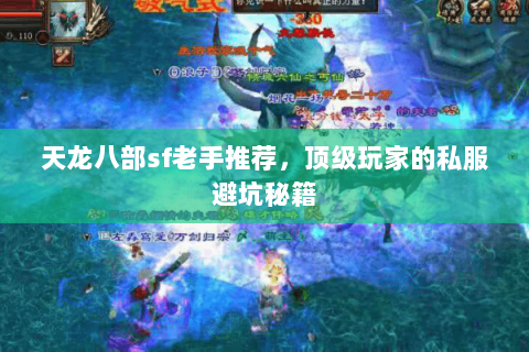 天龙八部sf老手推荐，顶级玩家的私服避坑秘籍
