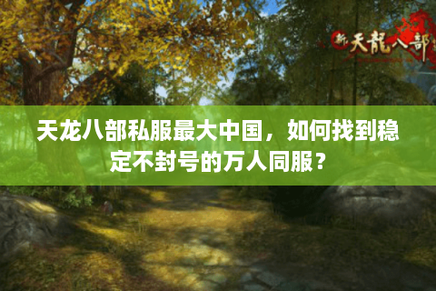 天龙八部私服最大中国，如何找到稳定不封号的万人同服？
