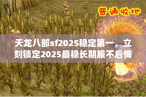 天龙八部sf2025稳定第一，立刻锁定2025最稳长期服不后悔