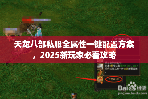 天龙八部私服全属性一键配置方案，2025新玩家必看攻略
