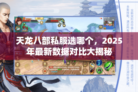 天龙八部私服选哪个，2025年最新数据对比大揭秘