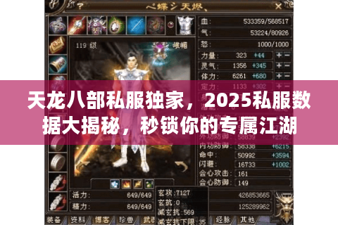 天龙八部私服独家，2025私服数据大揭秘，秒锁你的专属江湖