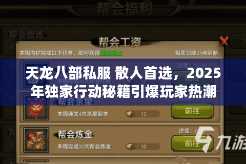 天龙八部私服 散人首选，2025年独家行动秘籍引爆玩家热潮