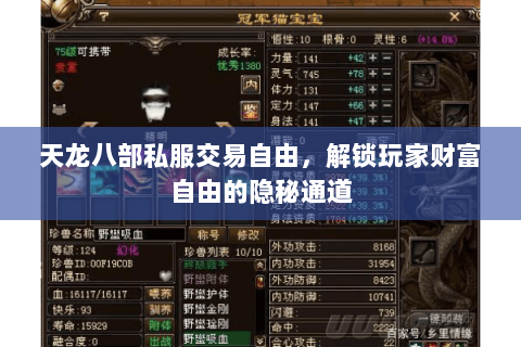 天龙八部私服交易自由，解锁玩家财富自由的隐秘通道