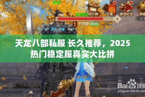 天龙八部私服 长久推荐，2025热门稳定服真实大比拼