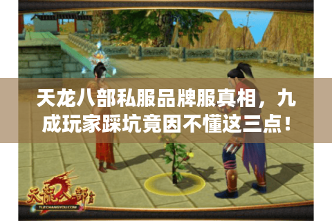 天龙八部私服品牌服真相，九成玩家踩坑竟因不懂这三点！