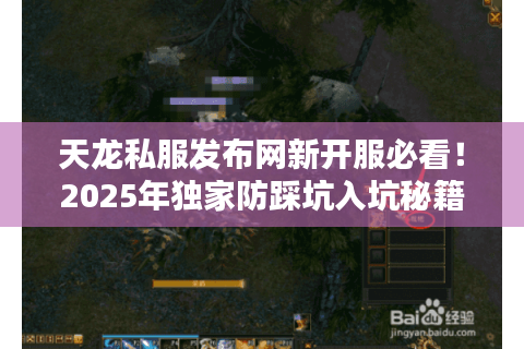 天龙私服发布网新开服必看！2025年独家防踩坑入坑秘籍