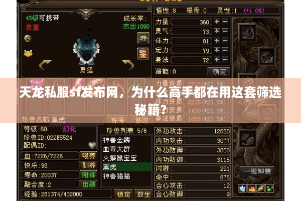 天龙私服sf发布网，为什么高手都在用这套筛选秘籍？
