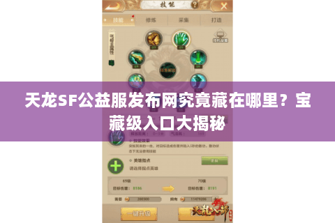 天龙SF公益服发布网究竟藏在哪里？宝藏级入口大揭秘