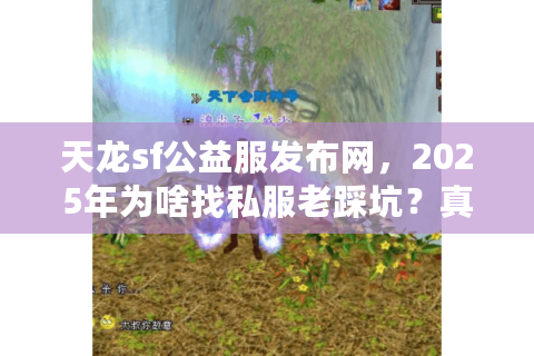 天龙sf公益服发布网，2025年为啥找私服老踩坑？真相揭秘