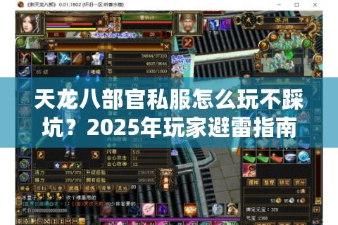 天龙八部官私服怎么玩不踩坑？2025年玩家避雷指南
