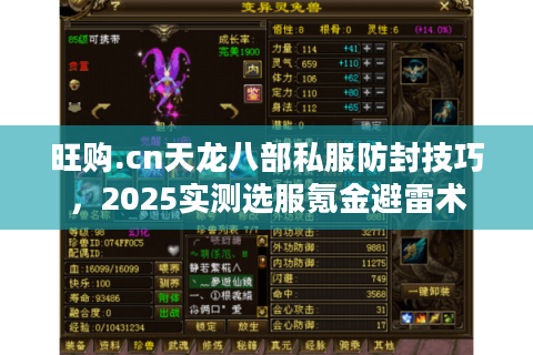 旺购.cn天龙八部私服防封技巧，2025实测选服氪金避雷术