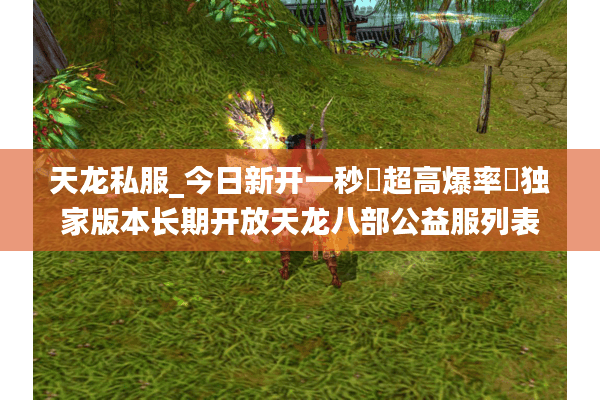 天龙私服_今日新开一秒▷超高爆率◁独家版本长期开放天龙八部公益服列表