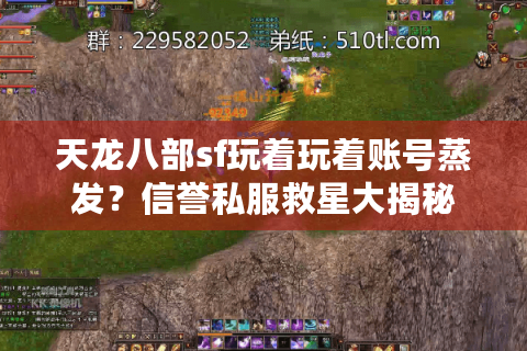 天龙八部sf玩着玩着账号蒸发？信誉私服救星大揭秘