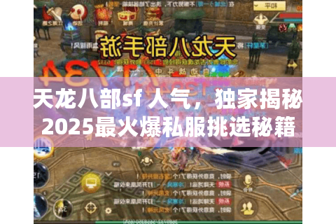 天龙八部sf 人气，独家揭秘2025最火爆私服挑选秘籍