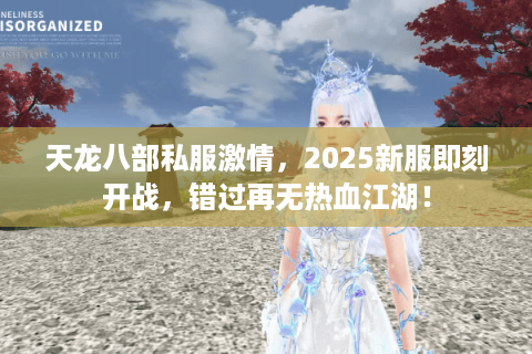 天龙八部私服激情，2025新服即刻开战，错过再无热血江湖！