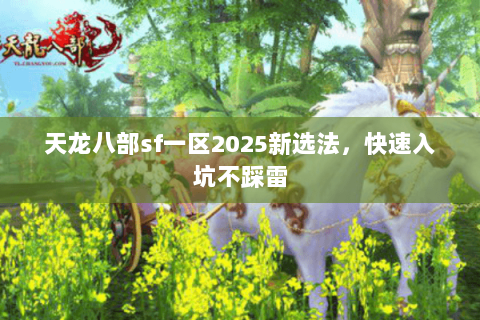 天龙八部sf一区2025新选法，快速入坑不踩雷