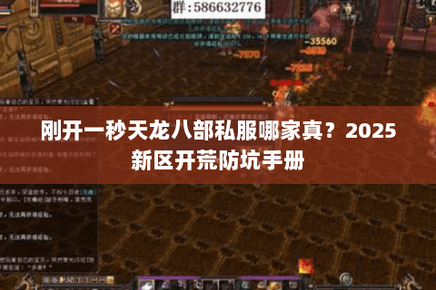 刚开一秒天龙八部私服哪家真？2025新区开荒防坑手册
