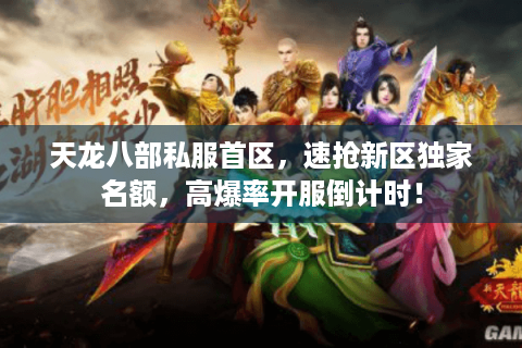 天龙八部私服首区，速抢新区独家名额，高爆率开服倒计时！