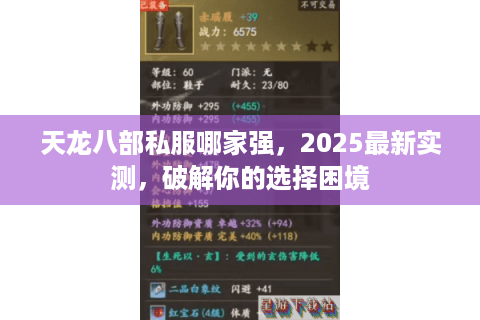 天龙八部私服哪家强，2025最新实测，破解你的选择困境