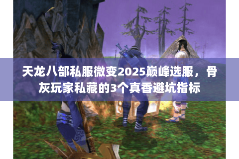 天龙八部私服微变2025巅峰选服，骨灰玩家私藏的3个真香避坑指标