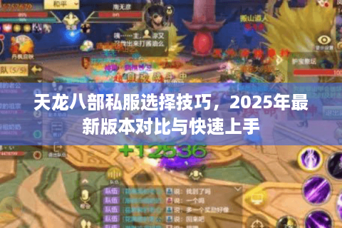 天龙八部私服选择技巧，2025年最新版本对比与快速上手