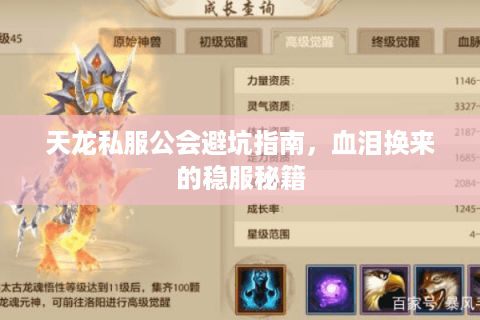 天龙私服公会避坑指南，血泪换来的稳服秘籍