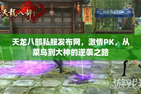 天龙八部私服发布网，激情PK，从菜鸟到大神的逆袭之路