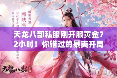 天龙八部私服刚开服黄金72小时！你错过的暴爽开局都在这里