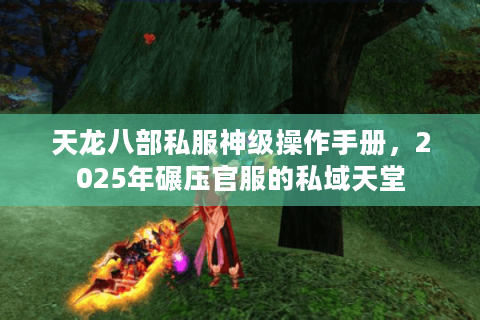 天龙八部私服神级操作手册，2025年碾压官服的私域天堂
