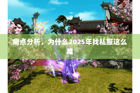 痛点分析，为什么2025年找私服这么难