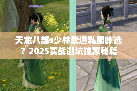 天龙八部s少林武道私服咋选？2025实战避坑独家秘籍