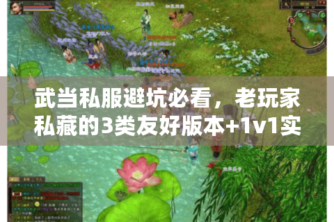 武当私服避坑必看，老玩家私藏的3类友好版本+1v1实战天赋搭配
