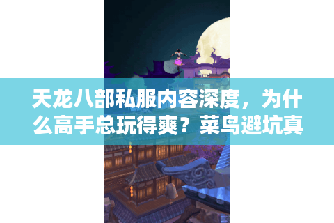 天龙八部私服内容深度，为什么高手总玩得爽？菜鸟避坑真经揭晓