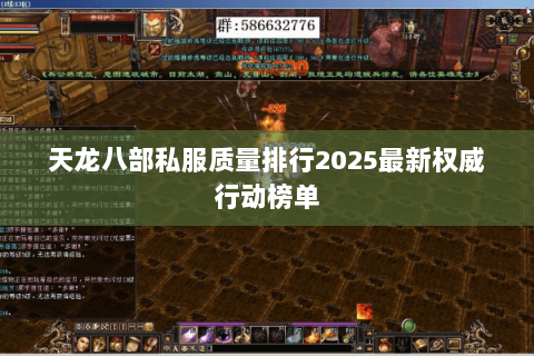 天龙八部私服质量排行2025最新权威行动榜单