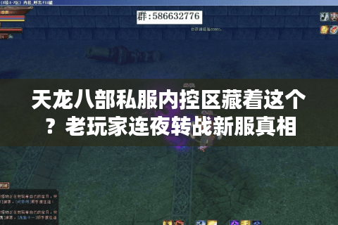 天龙八部私服内控区藏着这个？老玩家连夜转战新服真相