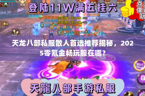 天龙八部私服散人首选推荐揭秘,2025零氪金畅玩服在哪? 天龙八部私服散人首选推荐揭秘,2025零氪金畅玩服在哪?