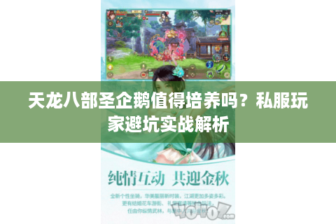 天龙八部圣企鹅值得培养吗？私服玩家避坑实战解析